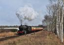 Between Kidderminster and Bewdley.