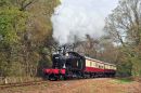 Between Buckfastleigh and Staverton.