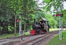 No 9 arriving at Warren Wood light engine