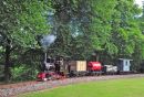 Climbing the bank to Warren Wood with a freight.
