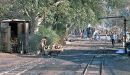 Changa Manga Forestry Railway.