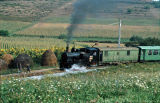 764-159 at Apa Neagra.