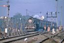 WL 5005 near Delhi in January 1993