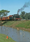 No 240 crossing the golf course near Colombo heading to Homagama. No 240 is  a 4-6-0 built by Hunslet in 1927.
