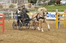 16 4534cp
