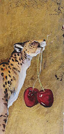 One Cheetah Two Cherries
 - by Jackie Morris