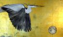 Heron in Flight [Jackie Morris]