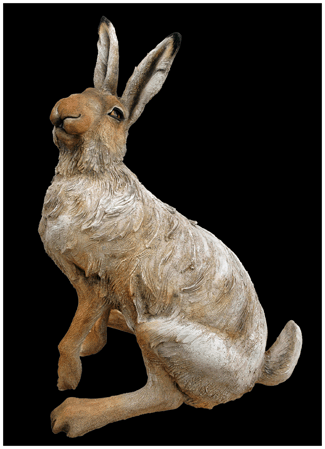 Mountain Hare