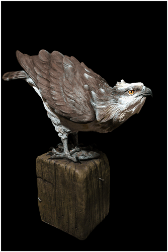 Osprey