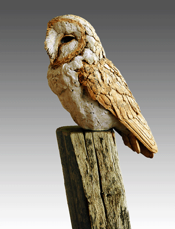 BARN OWL