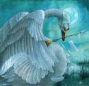 Polly Vaughan's Swan Song