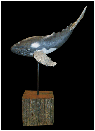 Whale