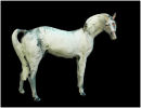 White Horse