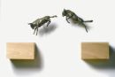 Leap & Bounds