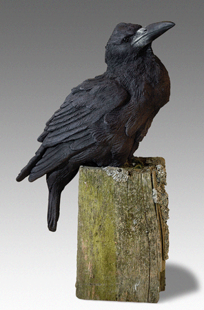 ROOK