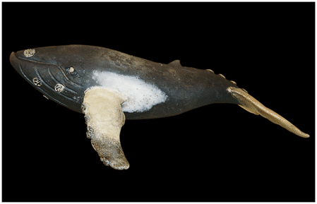 Whale