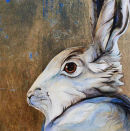 White Hare
 - by Jackie Morris