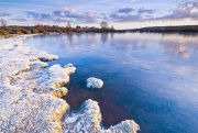 Frosty New Forest pond