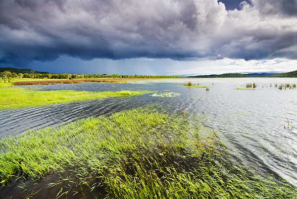 Lake Mitchell, Mareeba Savanna