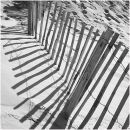 The fence