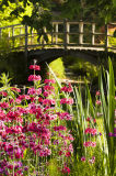 Exbury in spring