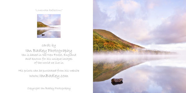 Loweswater Reflections