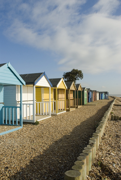 Portrait of Beachhuts