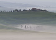 Belvedere at dawn 