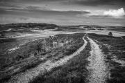 Track to the moor