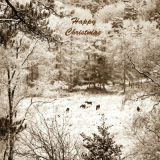 Grazing in the snow
