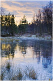 Icy Pond