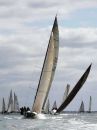 Sue Stokes Cowes
