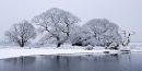 Snow at Mogshade