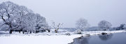 Winter panoramic