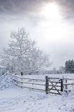 Snow scene