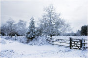 Snow, path and Gate