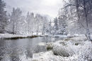 Snowy pond