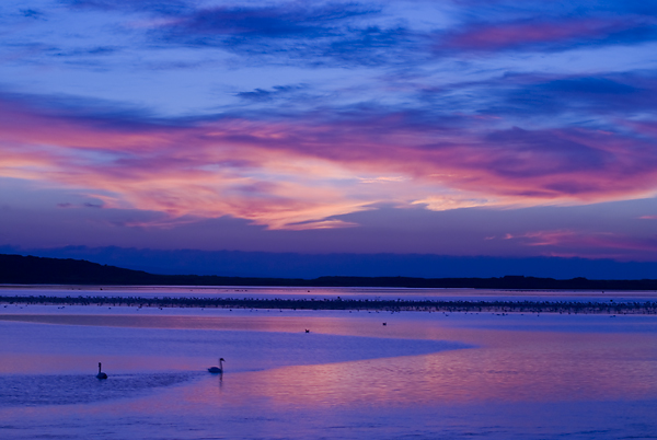 Mudeford Quay