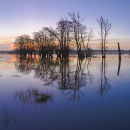 River Avon in flood, Christchurch.