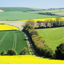  Hampshire Spring Fields