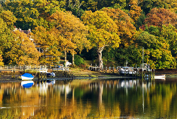 Autumn on the River Beaulieu