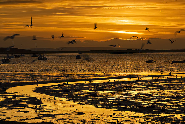 Mudeford Harbour