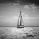Kathy White