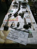 Dem Bones