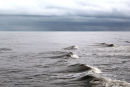 North Sea waves, Lowestoft