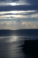 Porthleven Evening