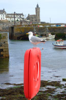 The Harbour, Porthleven