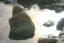 Rockpool