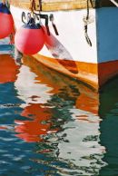 Summer Reflections