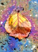 Gold leaf
